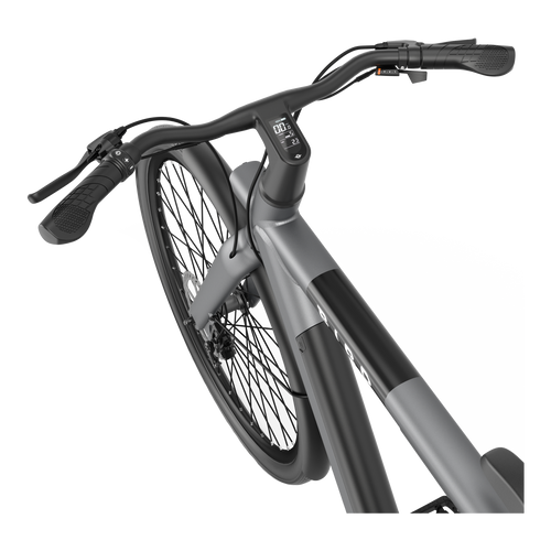 Bird Bike Grafity Gray