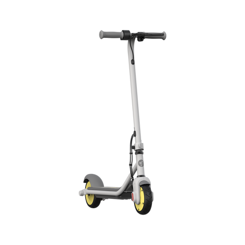 Segway-Ninebot eKickscooter Zing C8 schuin