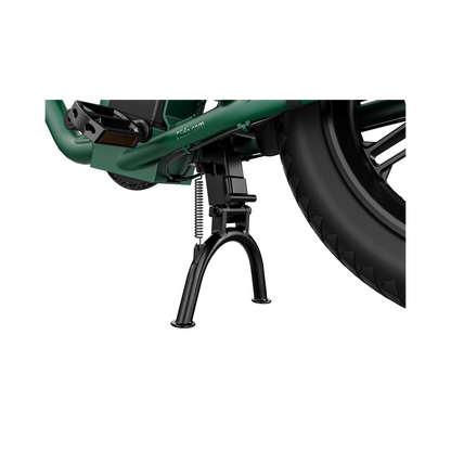 Fiido T2 Longtail Cargo E-bike