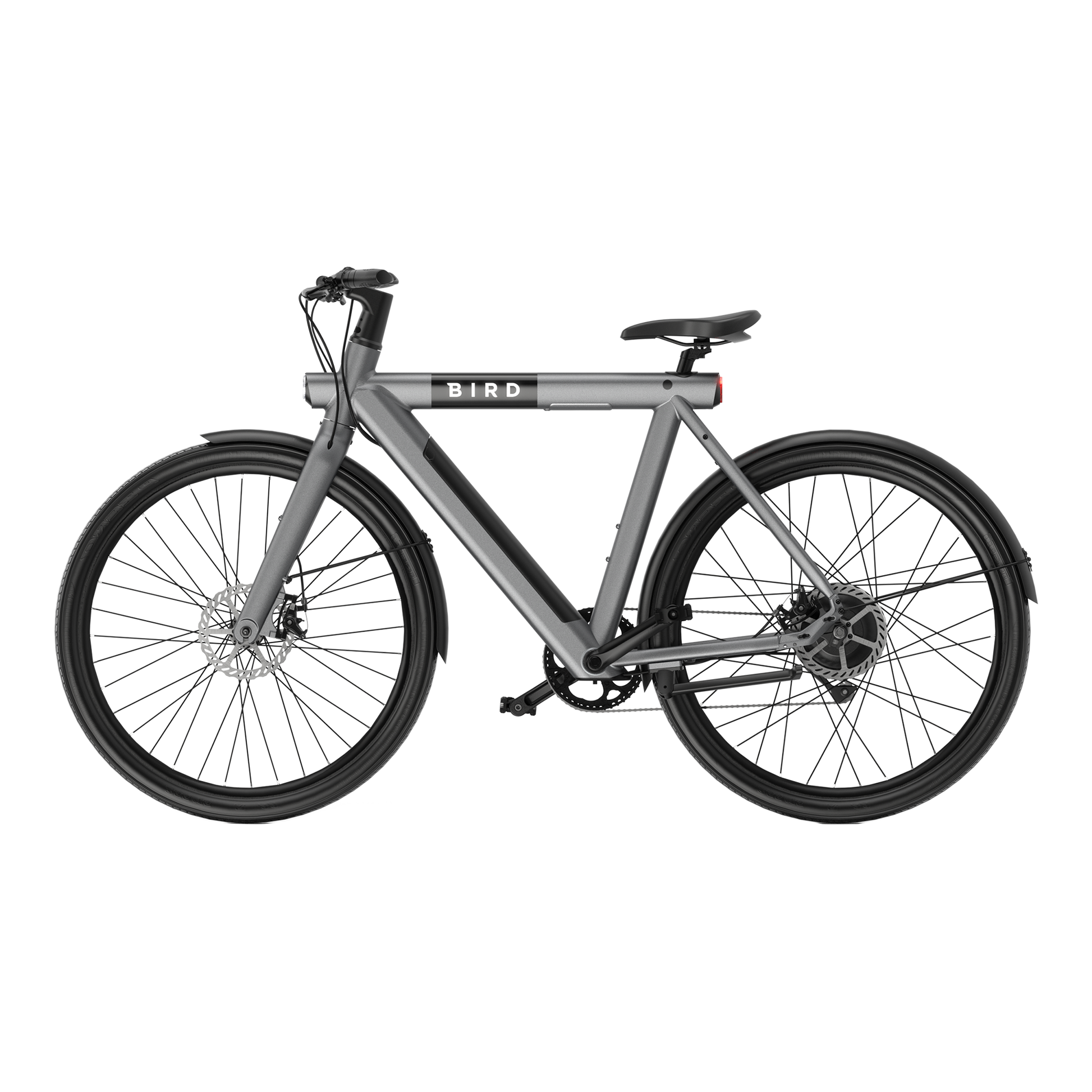 Bird Bike Grafity Gray