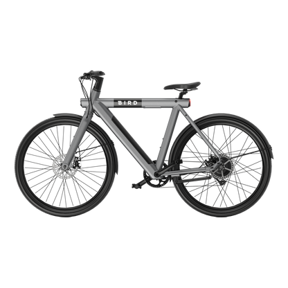 Bird Bike Grafity Gray