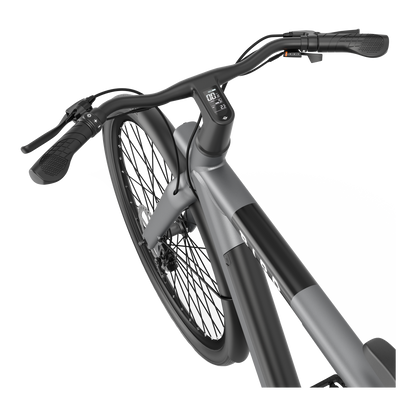 Bird Bike Grafity Gray