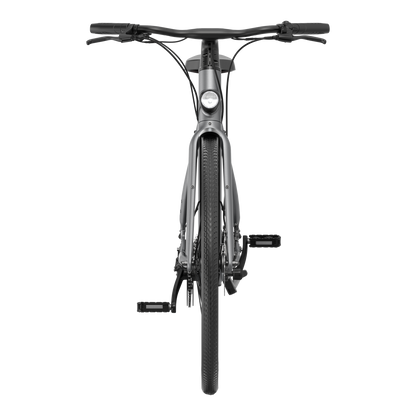 Bird Bike Grafity Gray