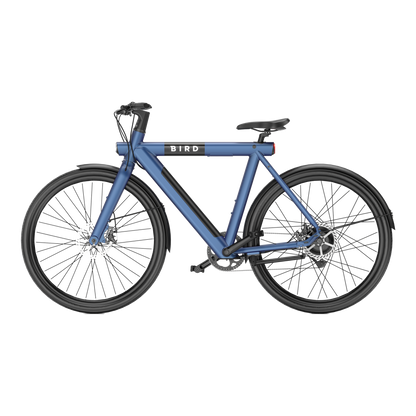 Bird Bike Starling Blue