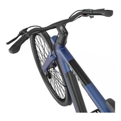 Bird Bike Starling Blue