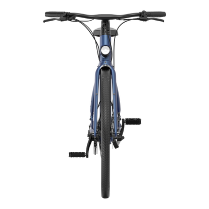 Bird Bike Starling Blue