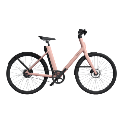 Cowboy Cruiser ST Fig