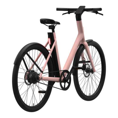 Cowboy Cruiser ST Fig