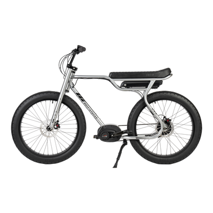 Ruff Cycles Biggie Delirium Silver