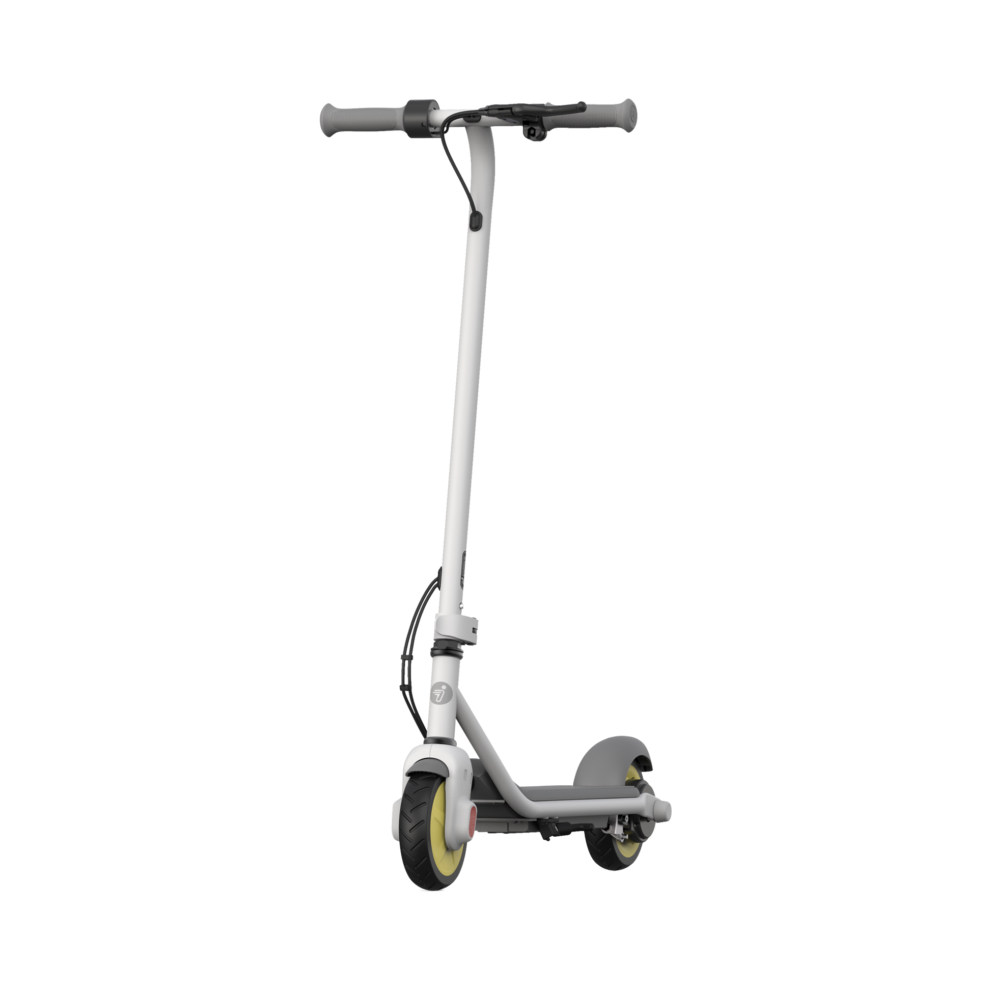 Segway-Ninebot eKickscooter Zing C10 schuin