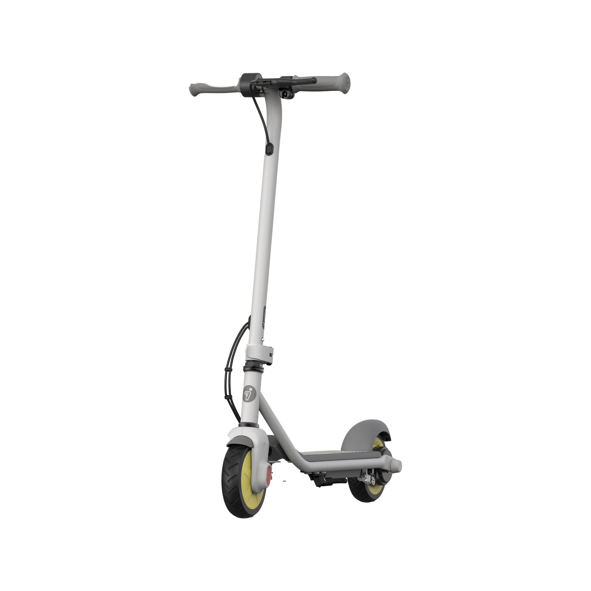 Segway-Ninebot eKickscooter Zing C8 schuin